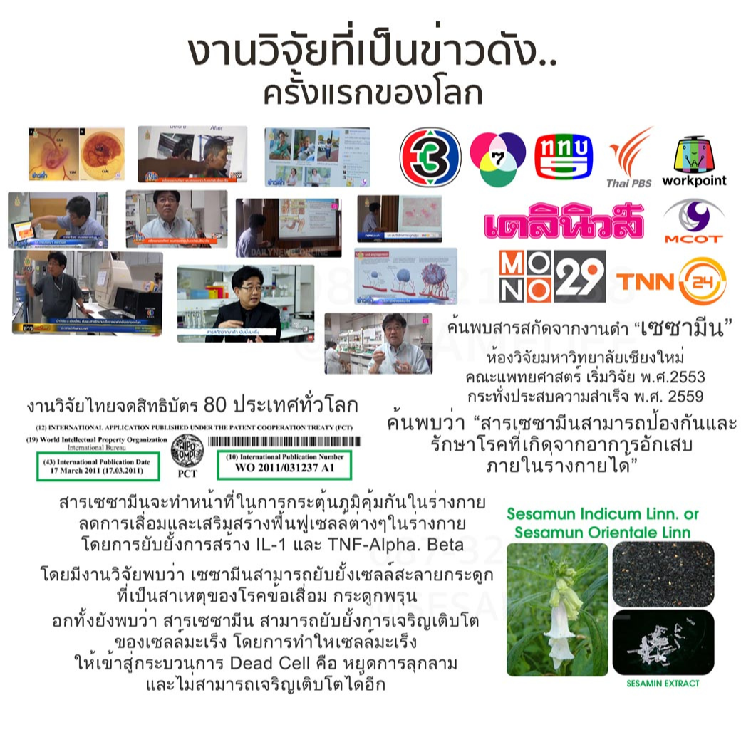 งานวิจัย เซซามีน