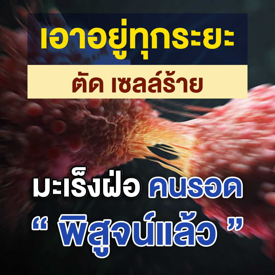 เอาอยู่ทุกระยะ