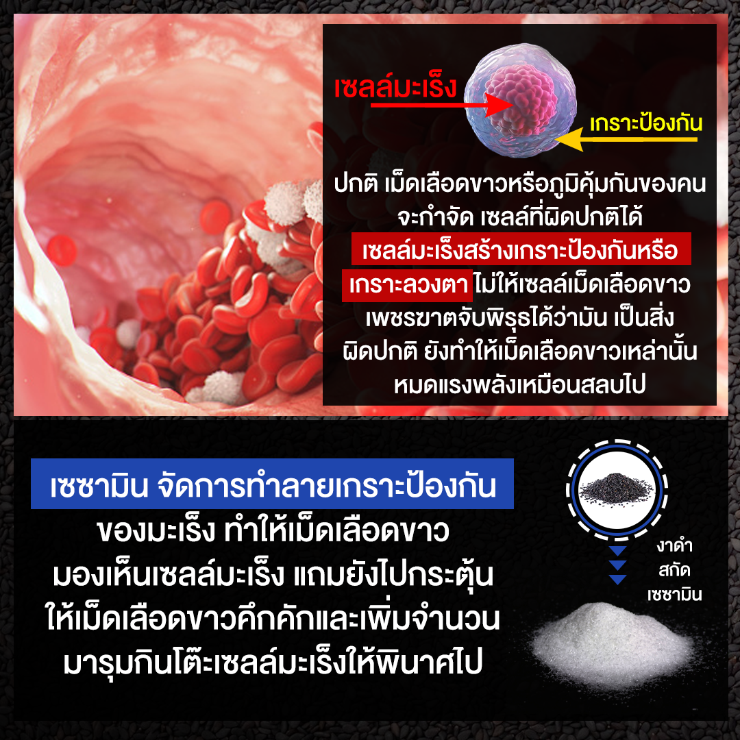 เม็ดเลือดขาวหรือภูมิคุ้มกัน