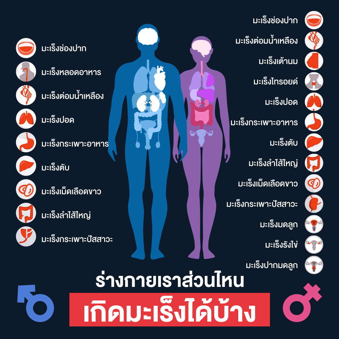 ร่างกายส่วนไหนเกิดมะเร็งได้บ้าง