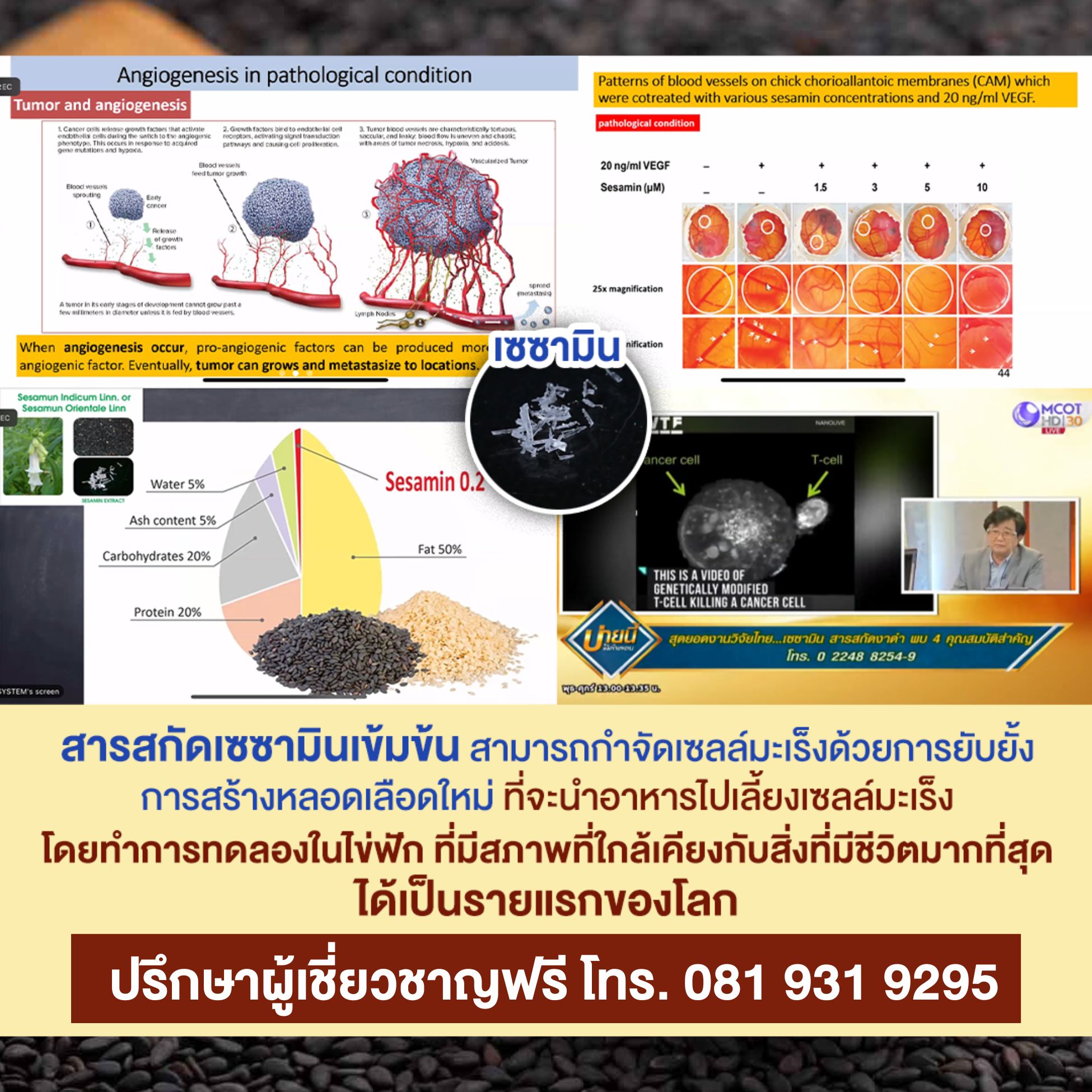 งานวิจัย