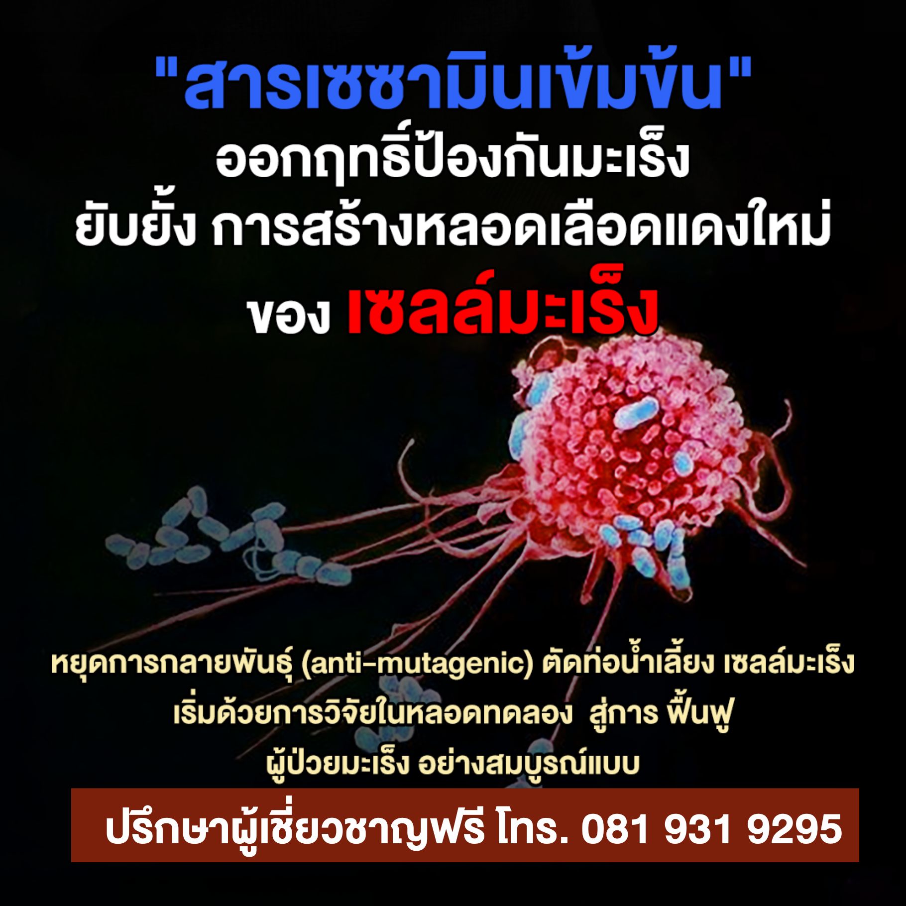 เซซามินเข้มข้น